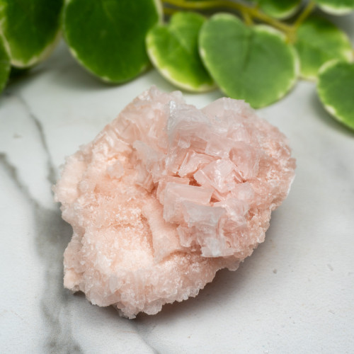 Pink Halite #3
