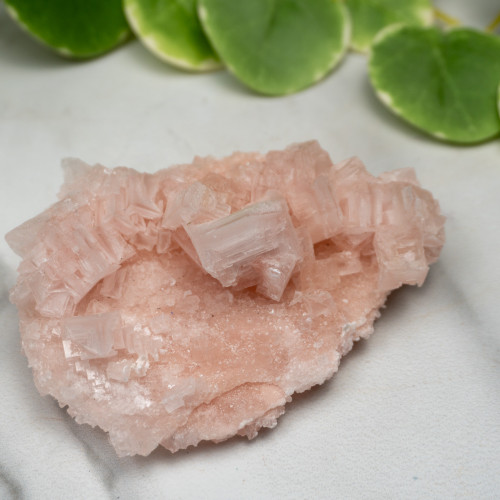 Pink Halite #2