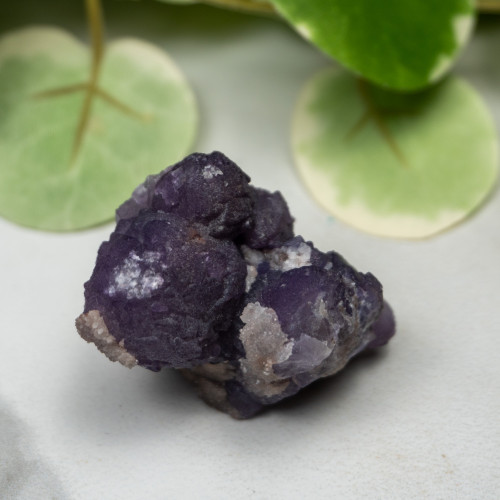 Tombstone Fluorite (Arizona) #5