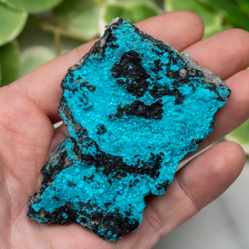 Raw Chrysocolla (New Mexico) #3