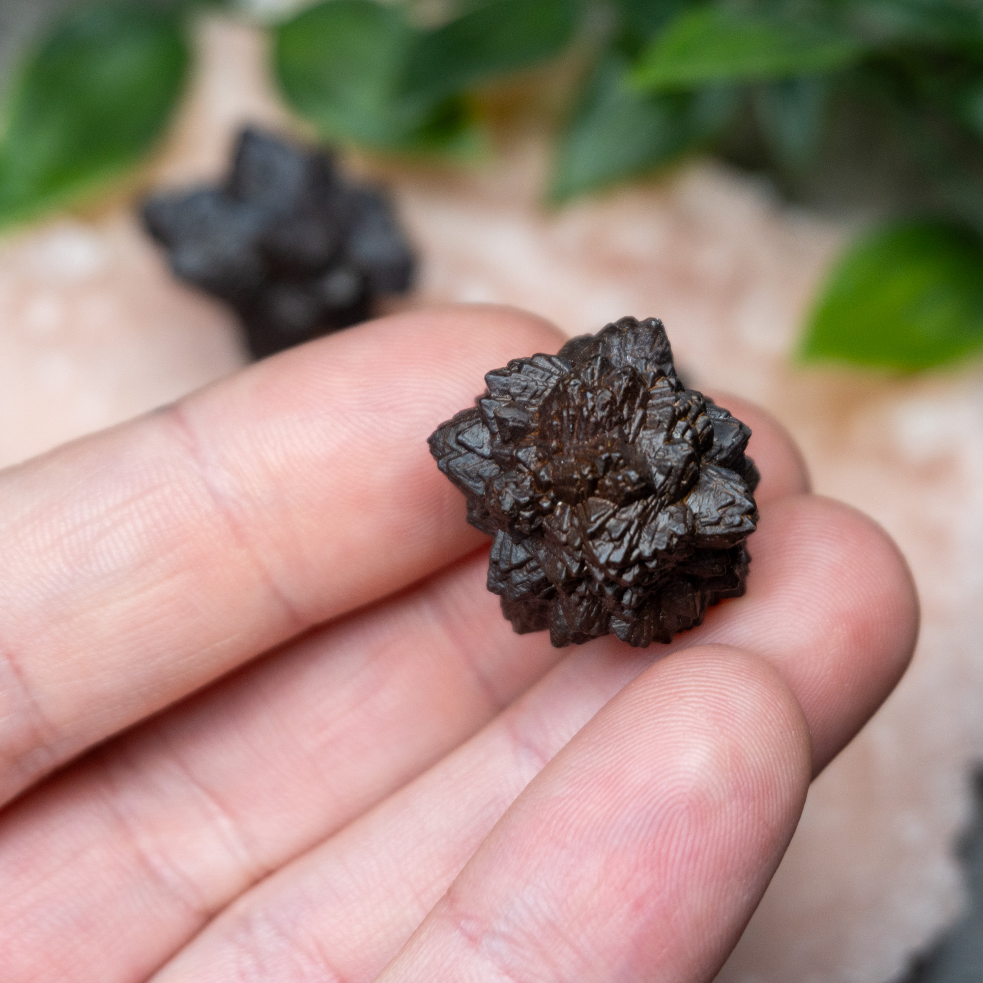 Prophecy Stone Small Random