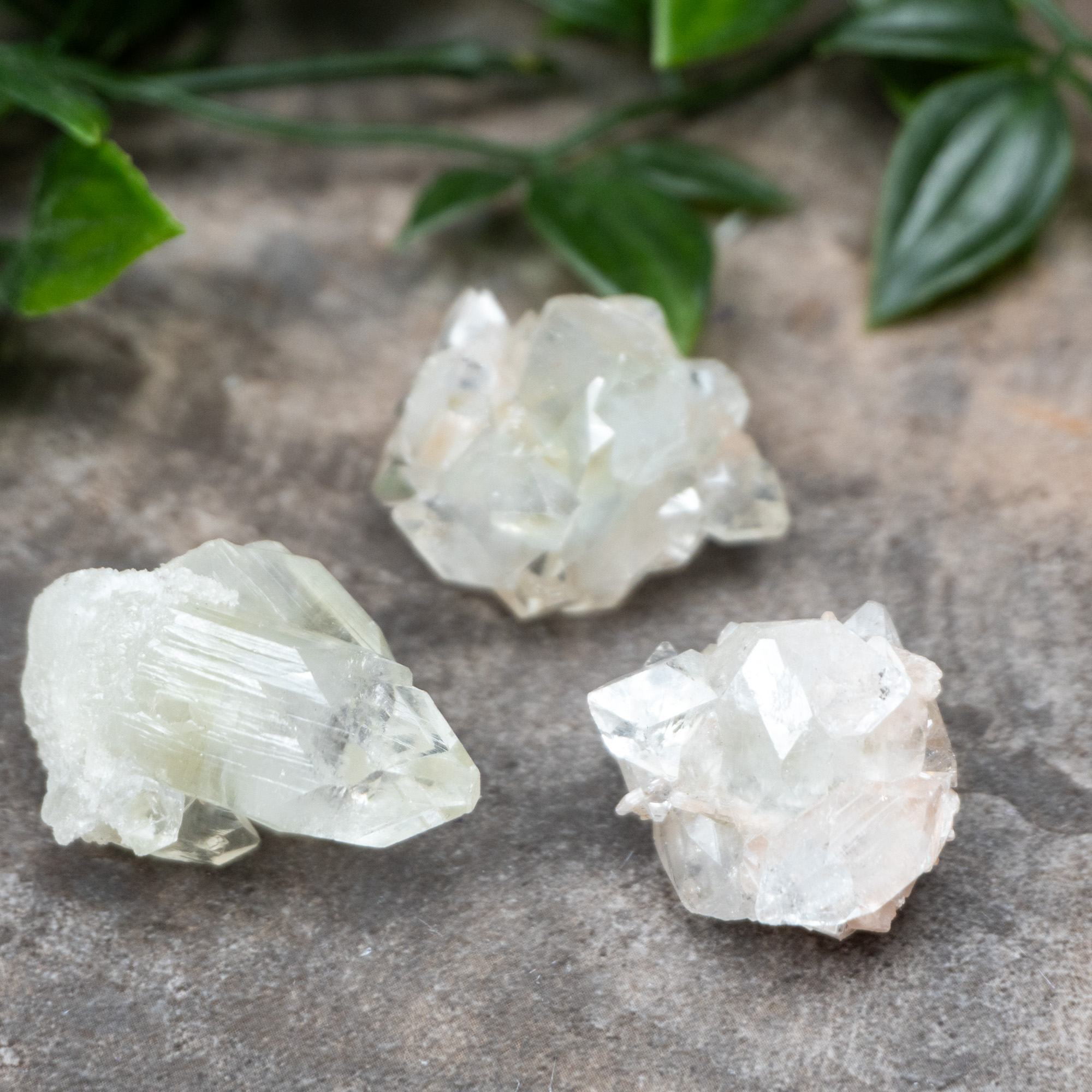 Apophyllite Small Random