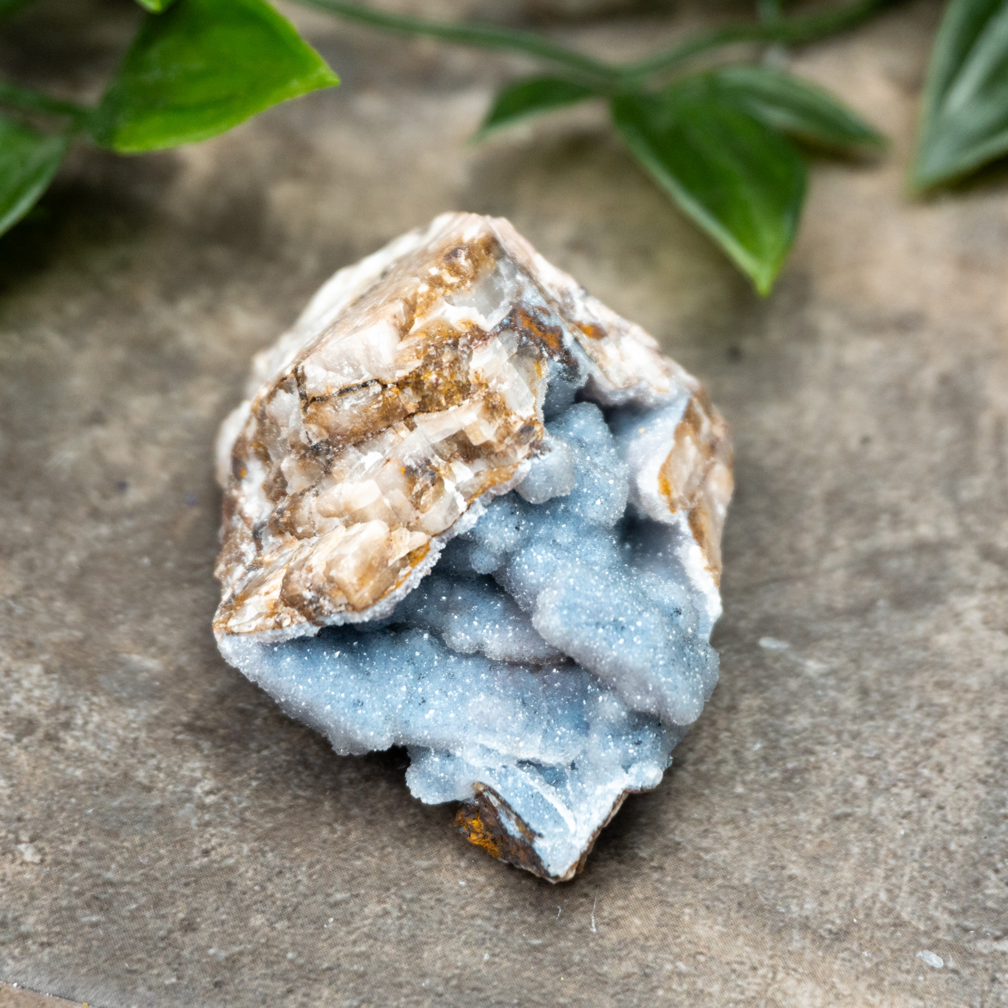 Blue Quartz on Maganese #2