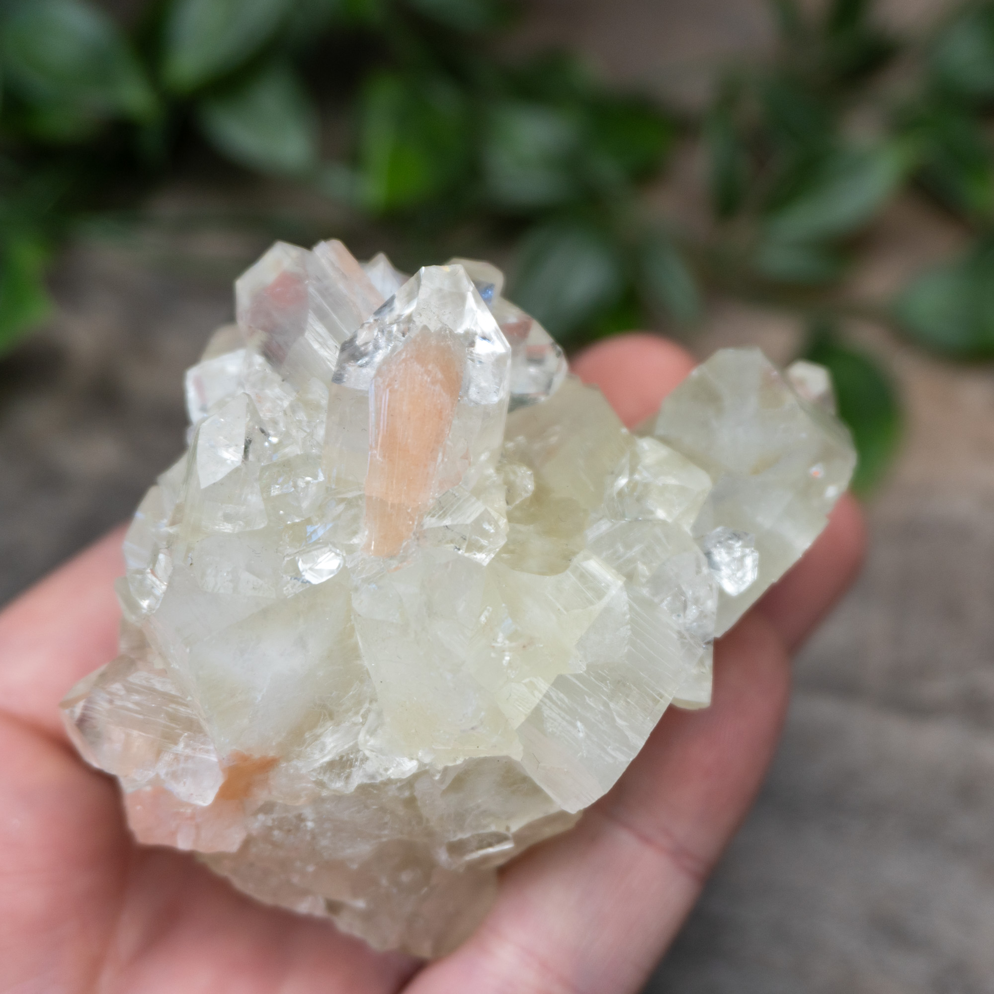 Apophyllite #7