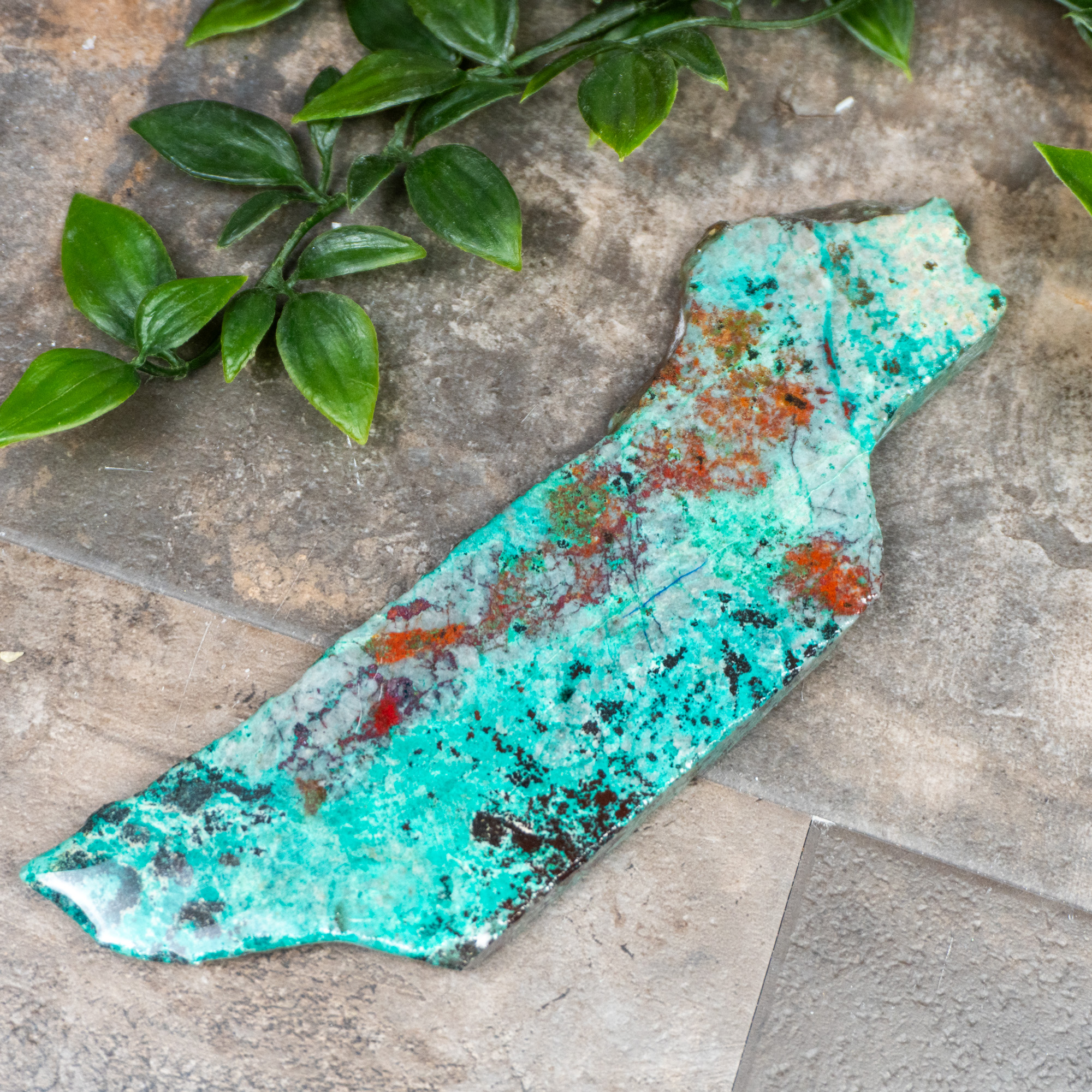 Sonora Sunrise Slab #5