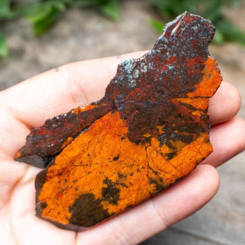 Sonora Sunrise Slab #2