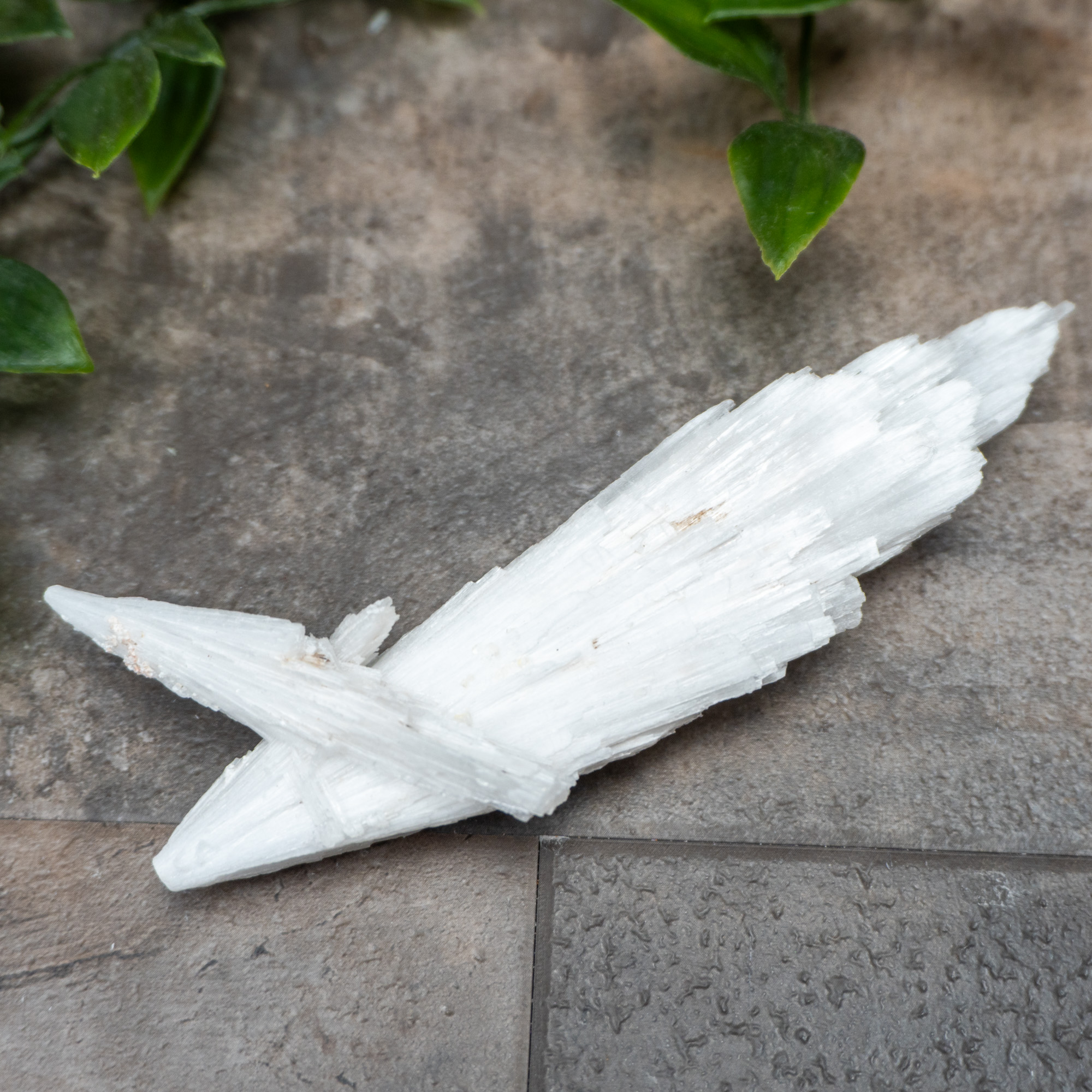 Scolecite #8