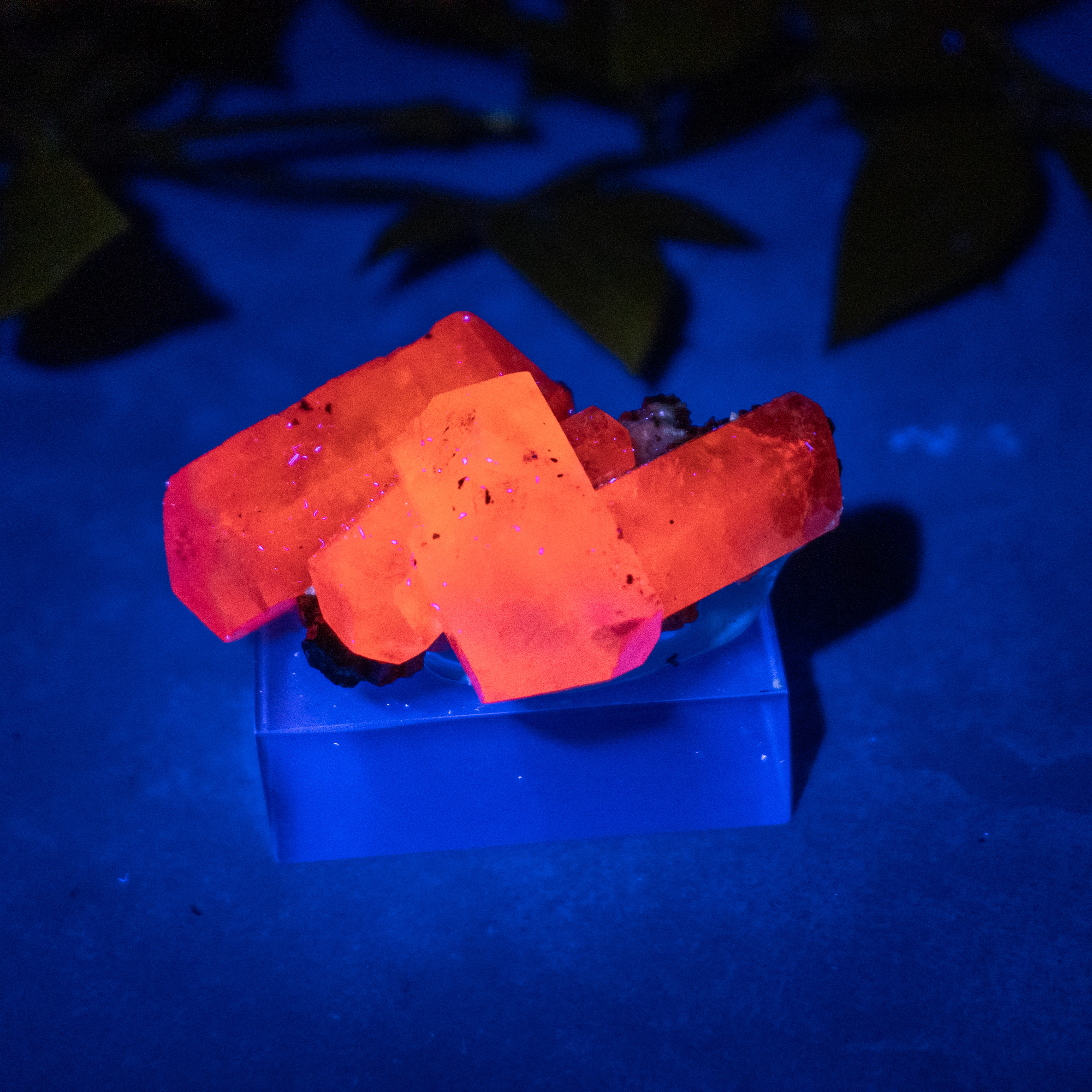 Pyrite & Mangano Calcite (UV Reactive) #3