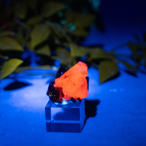 Pyrite & Mangano Calcite (UV Reactive) #2