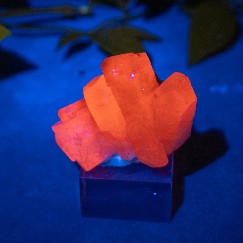 Pyrite & Mangano Calcite (UV Reactive) #1