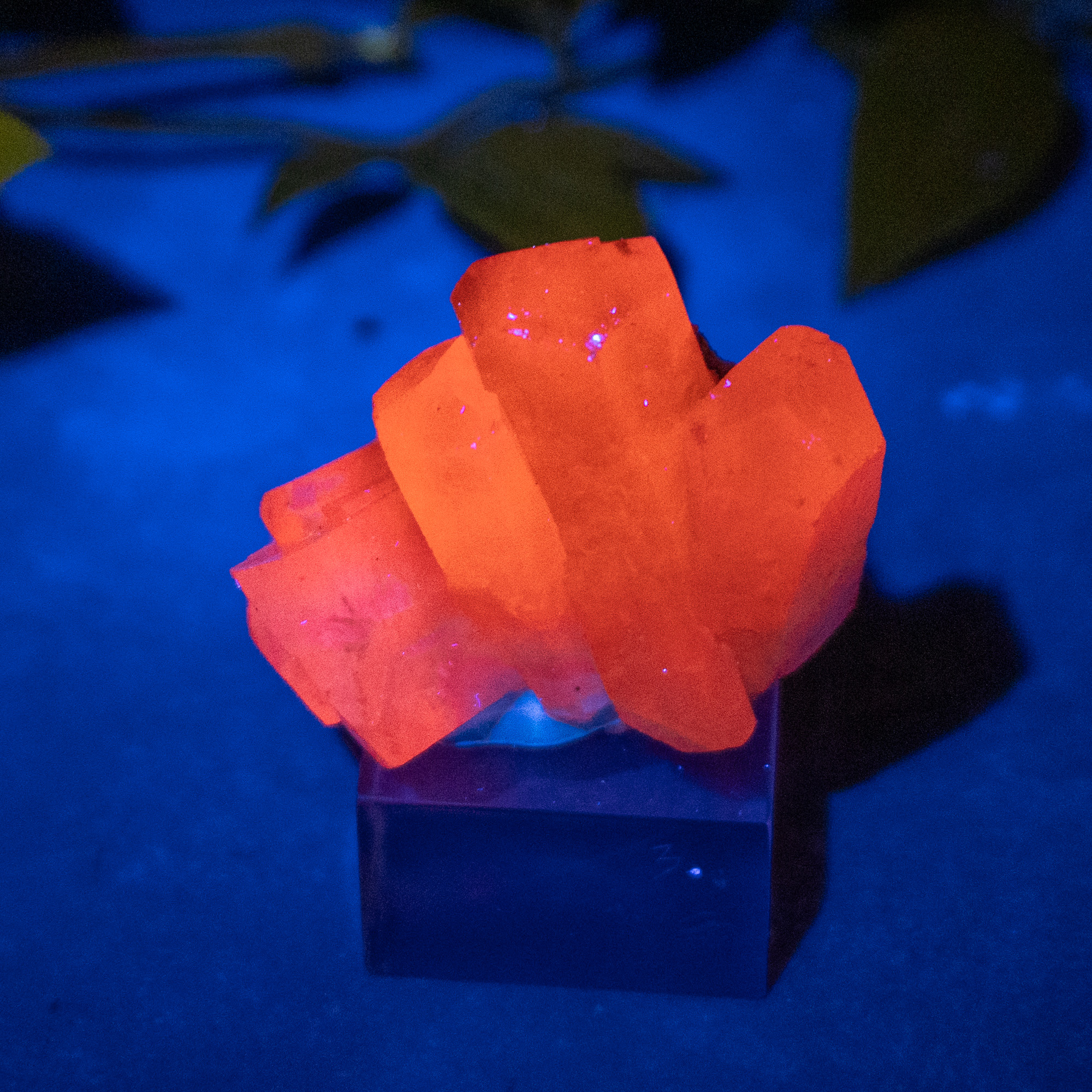 Pyrite & Mangano Calcite (UV Reactive) #1