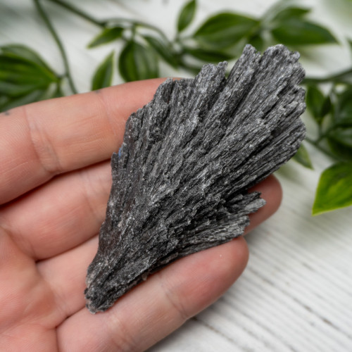 Black Kyanite #13