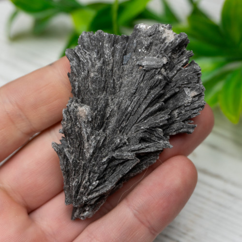 Black Kyanite #10