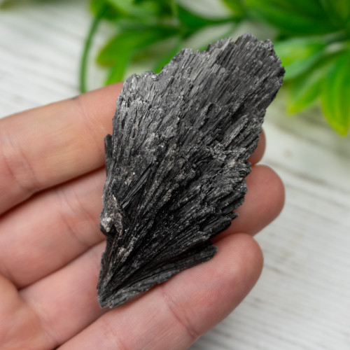 Black Kyanite #7