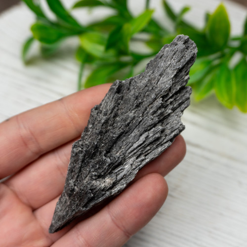 Black Kyanite #4