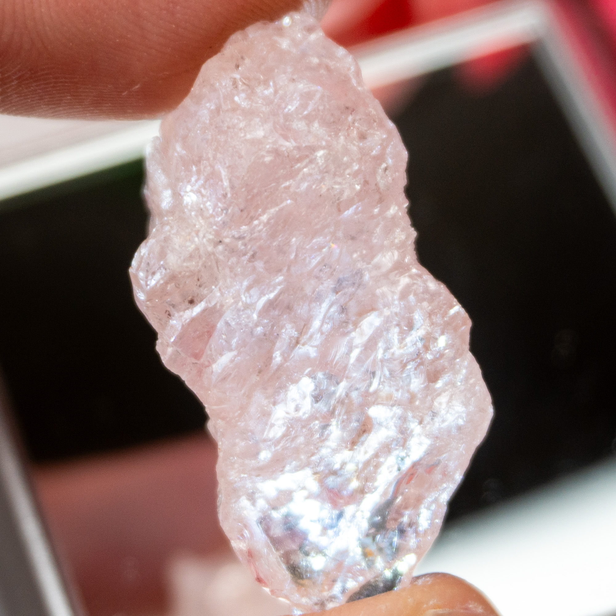 Morganite #8