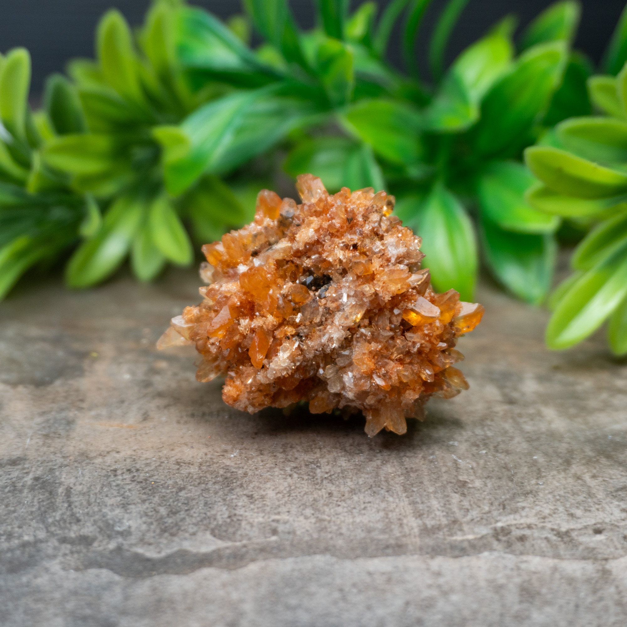 Creedite #5