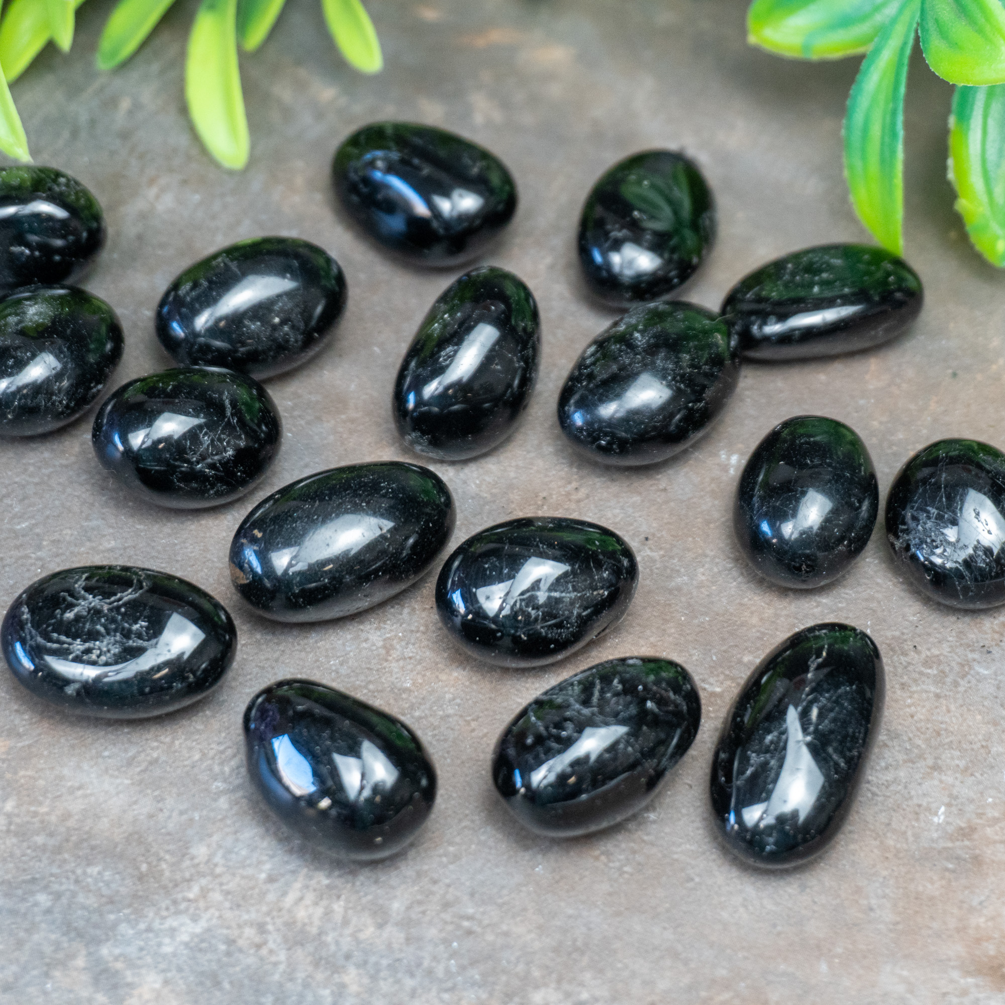 Black Tourmaline Tumbled