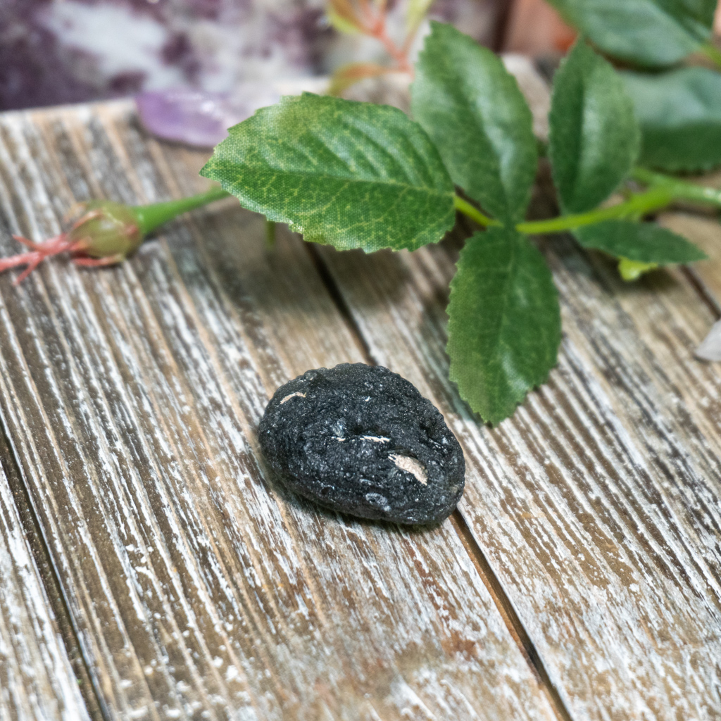 AA Grade Moldavite #19