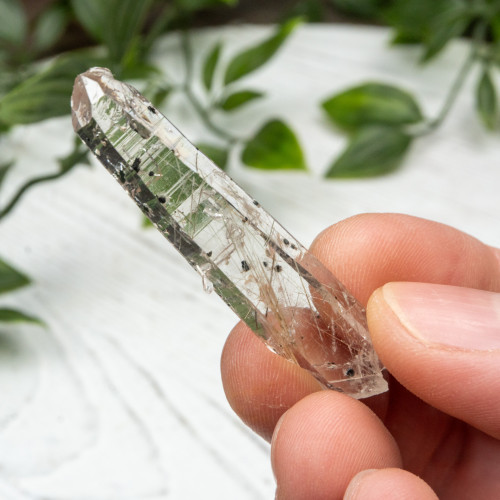 Actinolite in Quartz #4