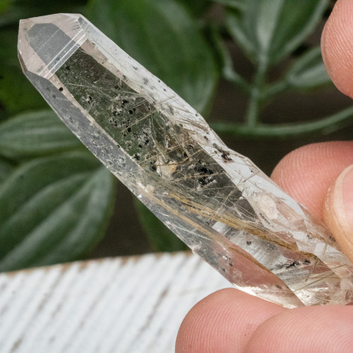 Actinolite in Quartz #2