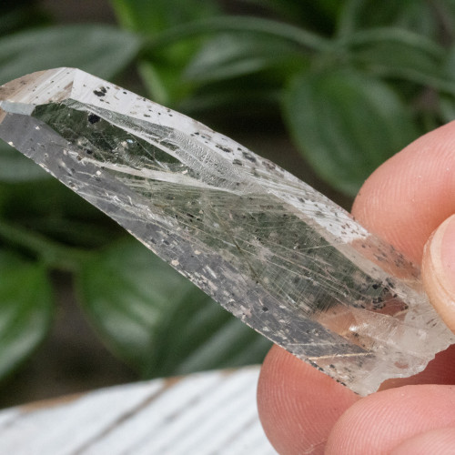 Actinolite in Quartz #1