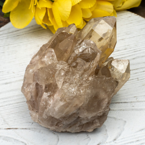 Kundalini Citrine #17