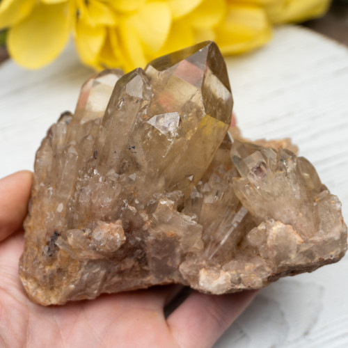 Kundalini Citrine #16