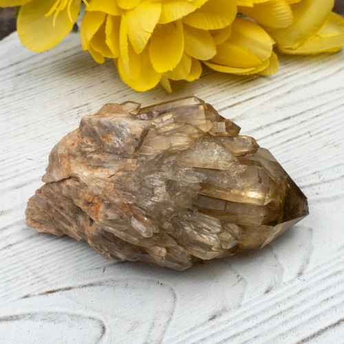 Kundalini Citrine #15