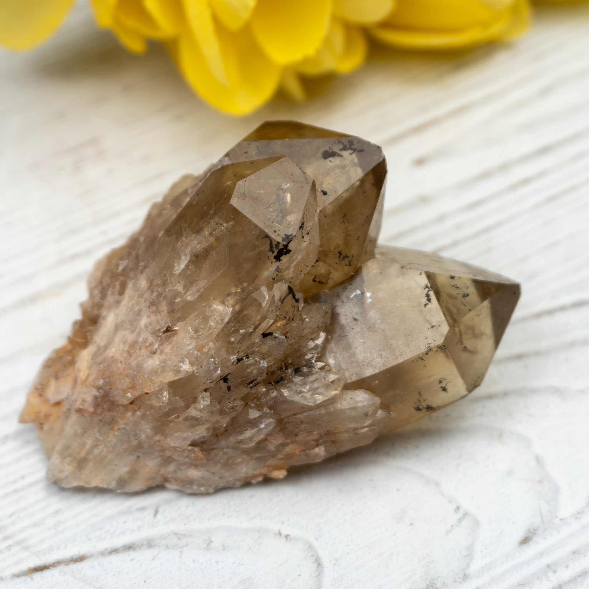 Kundalini Citrine #13