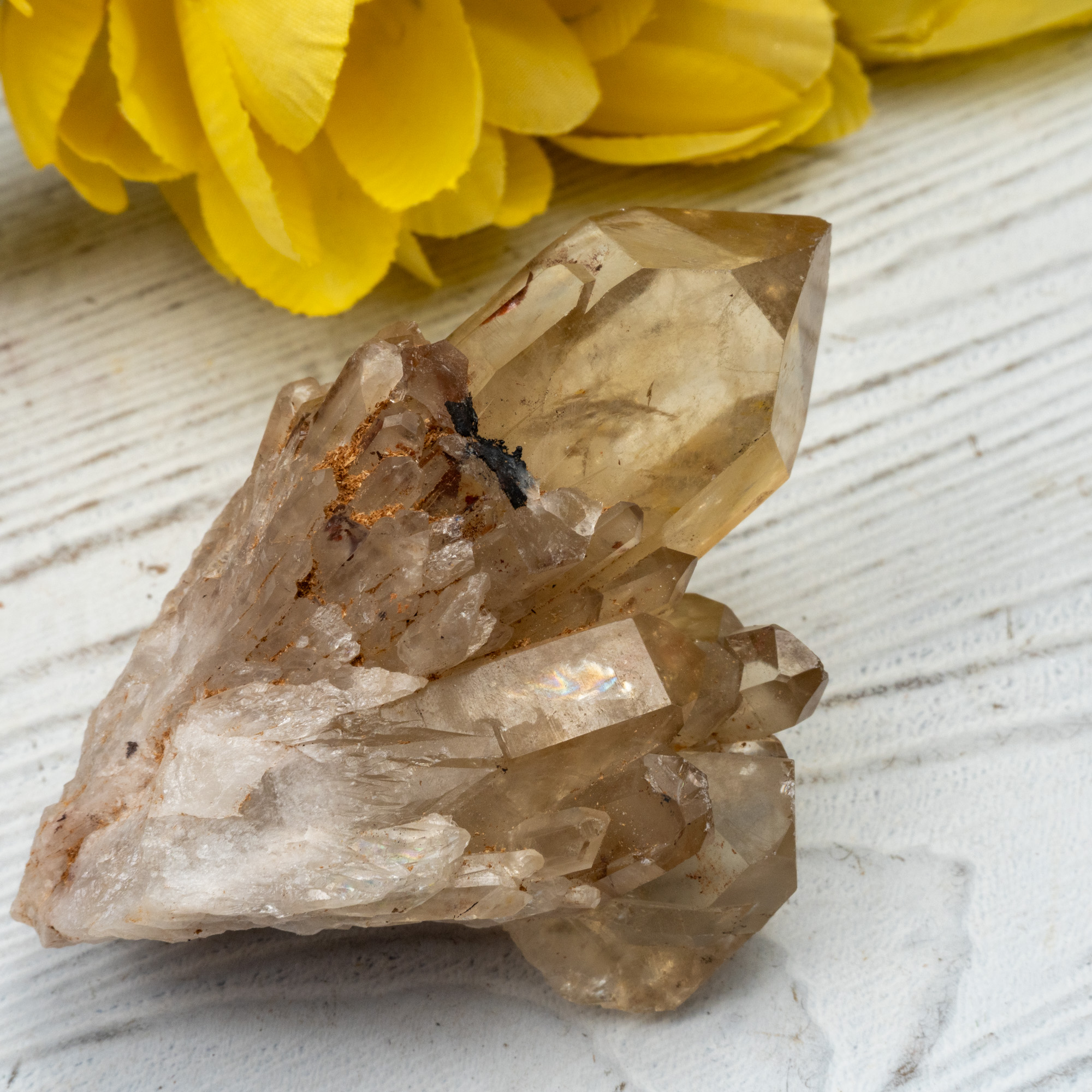 Kundalini Citrine #14