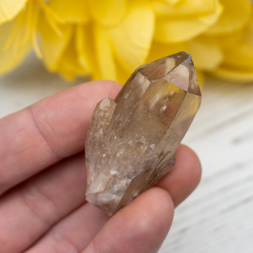 Kundalini Citrine #6