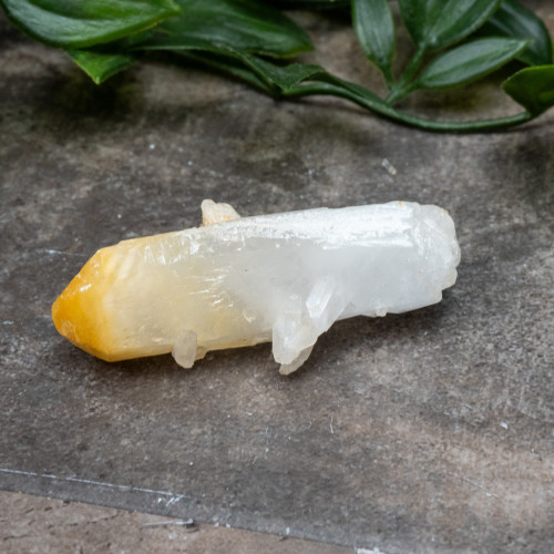 Mango Quartz #16