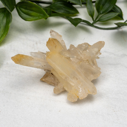 Mango Quartz #11