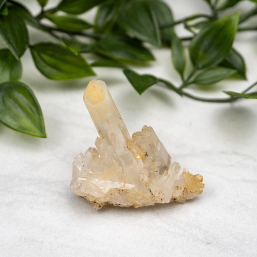 Mango Quartz #2