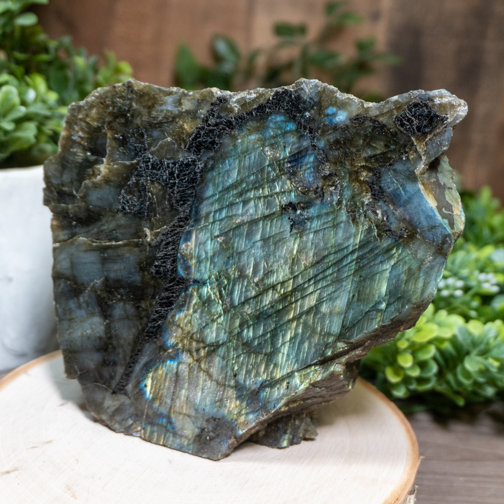 Half Polished Cut Base Labradorite #3