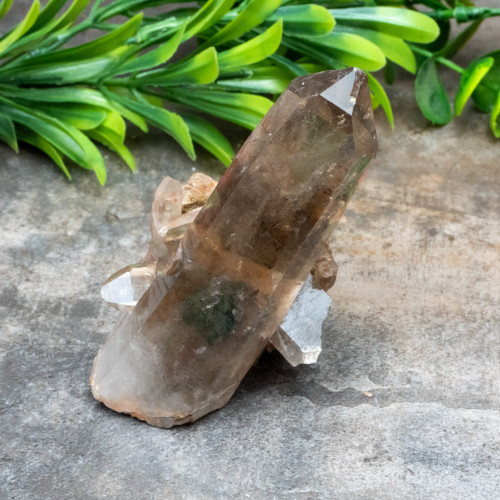 Smoky Phantom Quartz #3