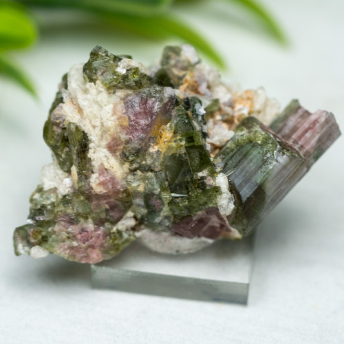 Watermelon Tourmaline #1