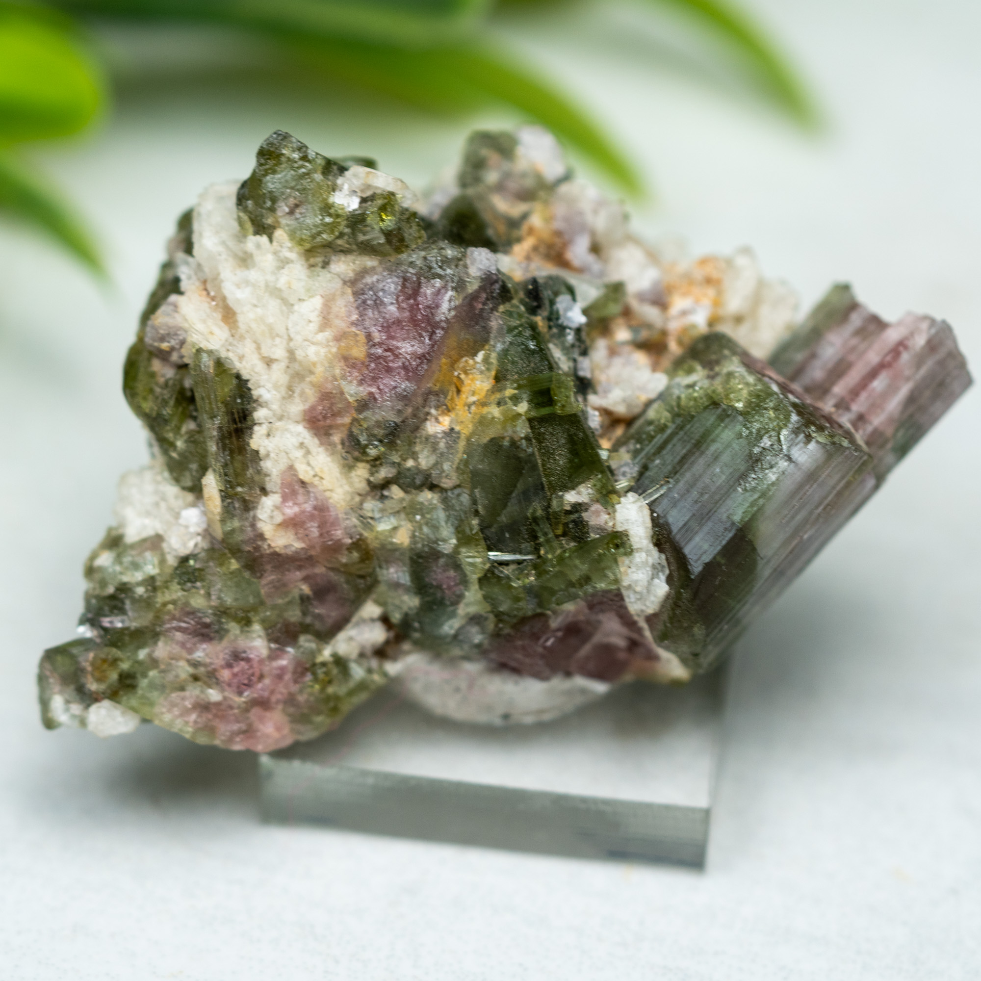 Watermelon Tourmaline #1