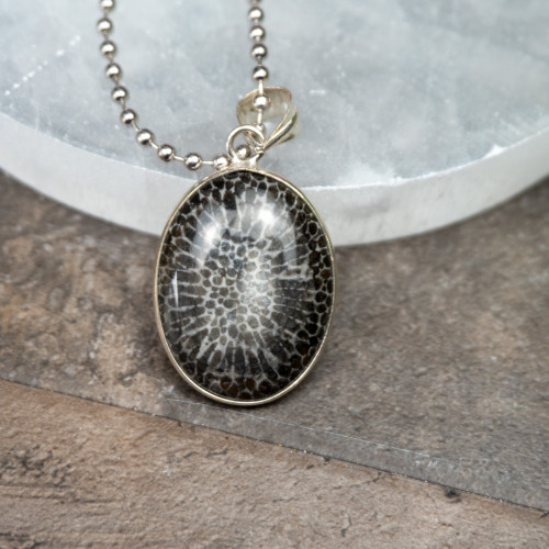 Fossilized Coral Necklace #1