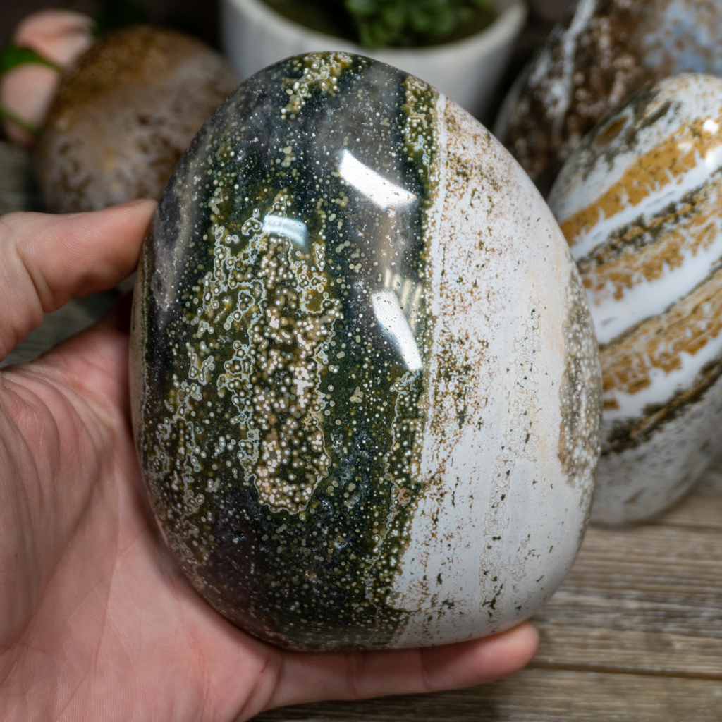 Medium Ocean Jasper Free Form The Crystal Council