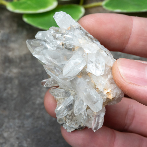 Colombian Quartz #31