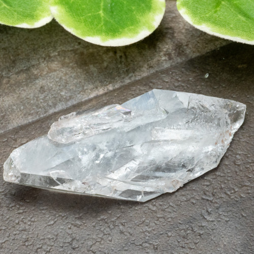 Colombian Faden Quartz #26