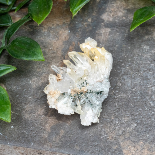 Colombian Quartz #19