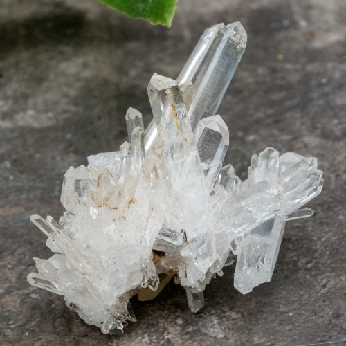 Colombian Quartz #16