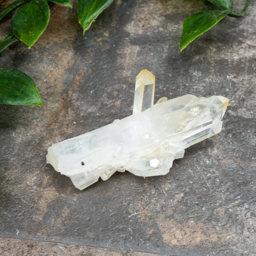 Colombian Quartz #15