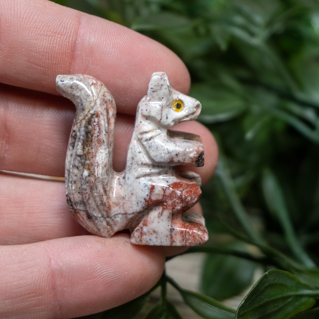 Dolomite Squirrel