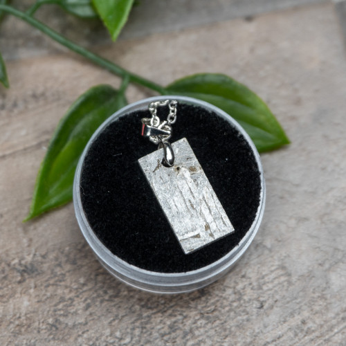 Muonionalusta Meteorite Necklace #6