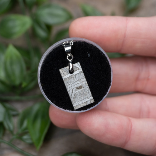 Muonionalusta Meteorite Necklace #4