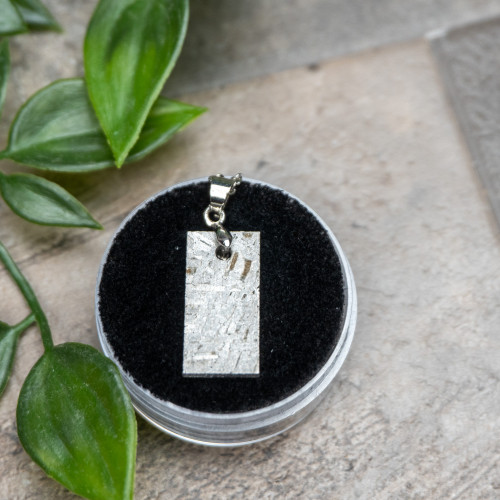 Muonionalusta Meteorite Necklace #2